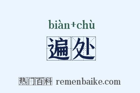 遍处是什么意思的图片